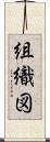組織図 Scroll