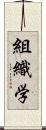 組織学 Scroll