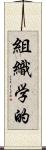 組織学的 Scroll