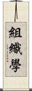 組織學 Scroll