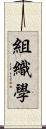 組織學 Scroll