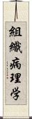 組織病理学 Scroll