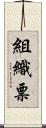 組織票 Scroll