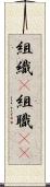 組織(P) Scroll