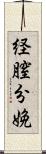 経膣分娩 Scroll