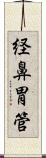 経鼻胃管 Scroll