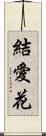 結愛花 Scroll