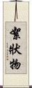 絮狀物 Scroll
