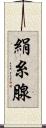 絹糸腺 Scroll