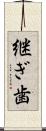 継ぎ歯 Scroll