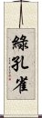 綠孔雀 Scroll