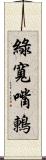 綠寬嘴鶇 Scroll