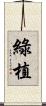 綠植 Scroll