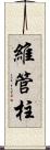 維管柱 Scroll