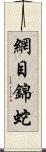 網目錦蛇 Scroll