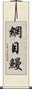 網目鰻 Scroll