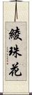 綾珠花 Scroll