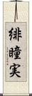 緋瞳実 Scroll