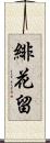 緋花留 Scroll