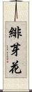 緋芽花 Scroll