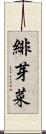 緋芽菜 Scroll