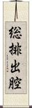 総排出腔 Scroll