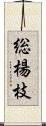 総楊枝 Scroll