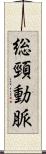 総頸動脈 Scroll
