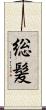 総髪 Scroll