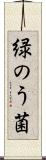 緑のう菌 Scroll