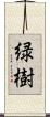 緑樹 Scroll