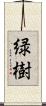 緑樹 Scroll