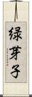 緑芽子 Scroll
