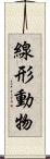 線形動物 Scroll