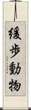 緩歩動物 Scroll