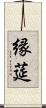 縁莚 Scroll