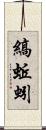 縞蚯蚓 Scroll