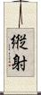 縦射 Scroll