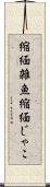 縮緬雑魚 Scroll