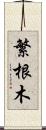 繁根木 Scroll