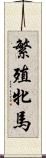 繁殖牝馬 Scroll