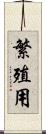 繁殖用 Scroll