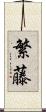繁藤 Scroll