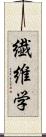 繊維学 Scroll