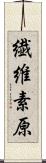 繊維素原 Scroll