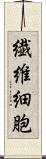 繊維細胞 Scroll