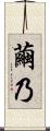 繭乃 Scroll
