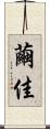 繭佳 Scroll