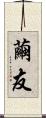 繭友 Scroll