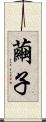 繭子 Scroll